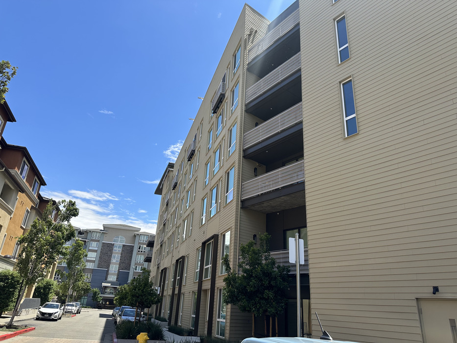 Project Image 15